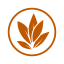 UT Sage Icon